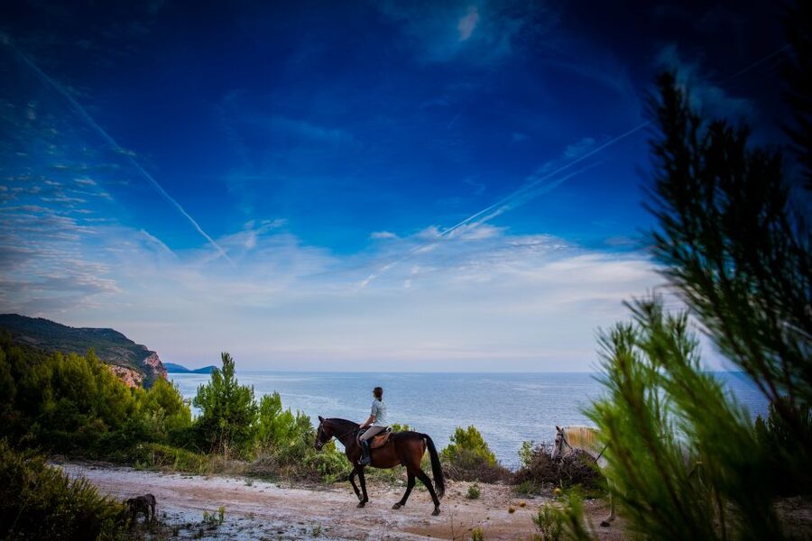 Dubrovnik Kojan Koral: Horseback Riding - Forest paths with a slow, steady rhythm