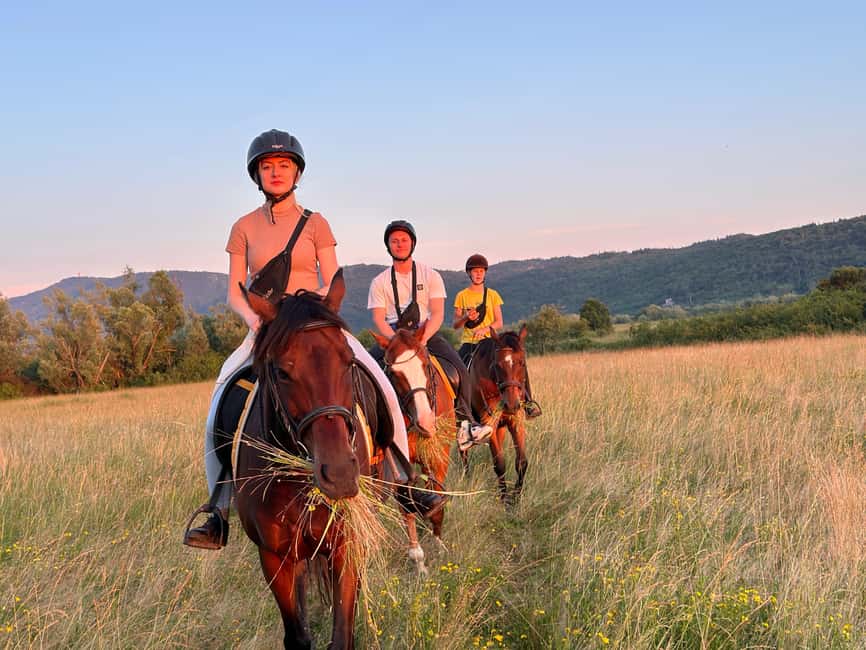 Dubrovnik: Sunset Horseback Ride with Transfers - A gentle 90-minute route through fields and vineyards