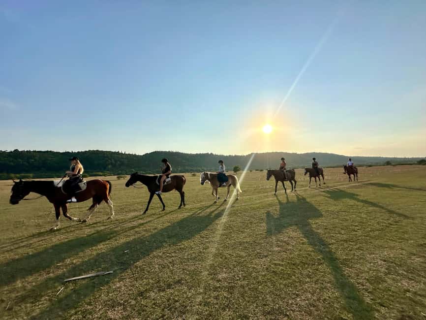 Dubrovnik: Sunset Horseback Ride with Transfers - Meeting the horses and settling your nerves