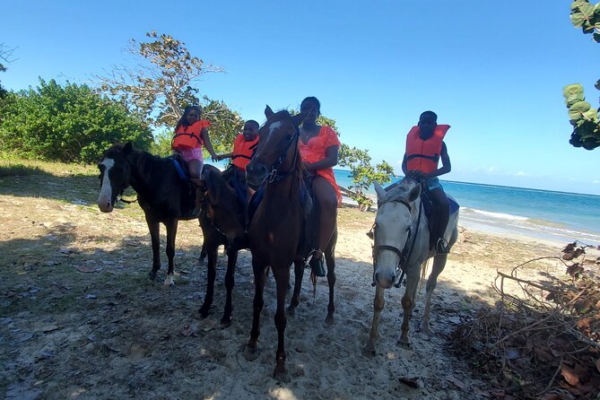 Dunn's River Falls Climb, Zipline and Horseback Riding Private Tour - Ziplining above Jamaica’s tree canopy