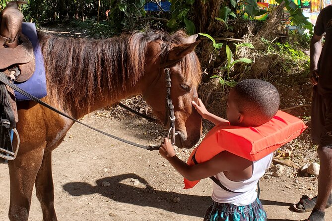 Dunn's River Falls Climb, Zipline and Horseback Riding Private Tour - Who should book this private Jamaican adventure