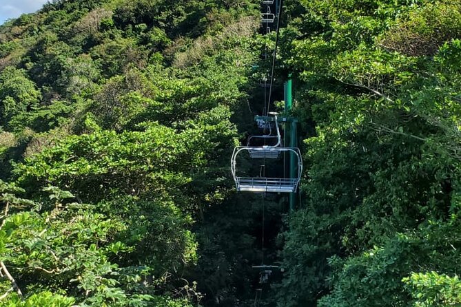 Dunn’s River Falls,Zip lining & horseback riding Combo tour from Montego Bay - Who will enjoy this combo most