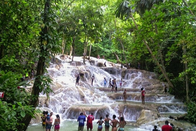 Dunns River Falls and horseback riding activity - Key points to know before booking