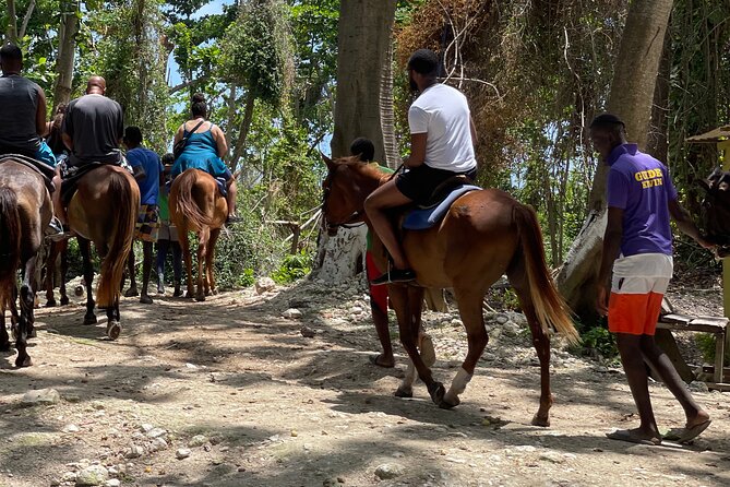 Dunns River Falls and horseback riding activity - Dunn’s River Falls and the $25 decision