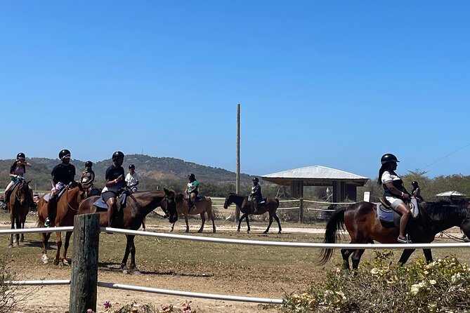 Dunns River Falls and horseback riding activity - How the driver affects the day