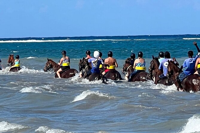 Dunns River Falls and horseback riding activity - Booking, weather, and cancellation advice