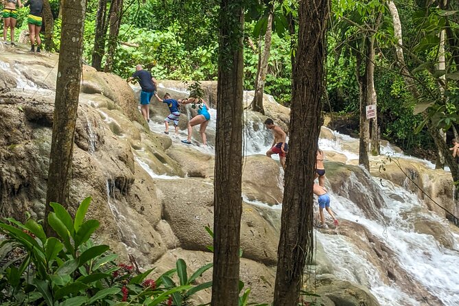 Dunns River Falls, Rafting, Zipline & Horseback from Montego Bay - What to expect from the bamboo rafting portion