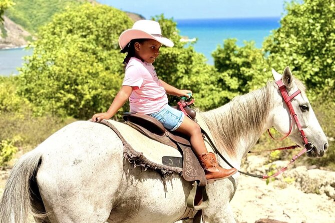 East Coast Horseback Riding & Waterfall Excursion - From Fond d’Or Bay to the Atlantic shore