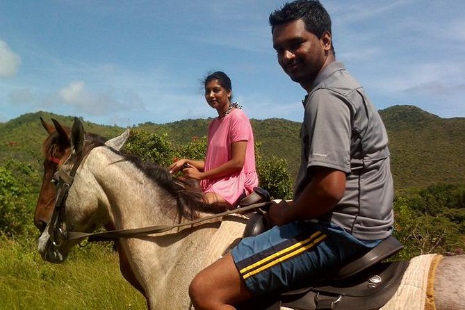 East Coast Horseback Riding & Waterfall Excursion - The horses and the riding itself