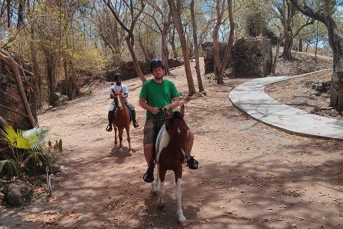 East Coast Horseback Riding & Waterfall Excursion - Who should book this St. Lucia excursion?
