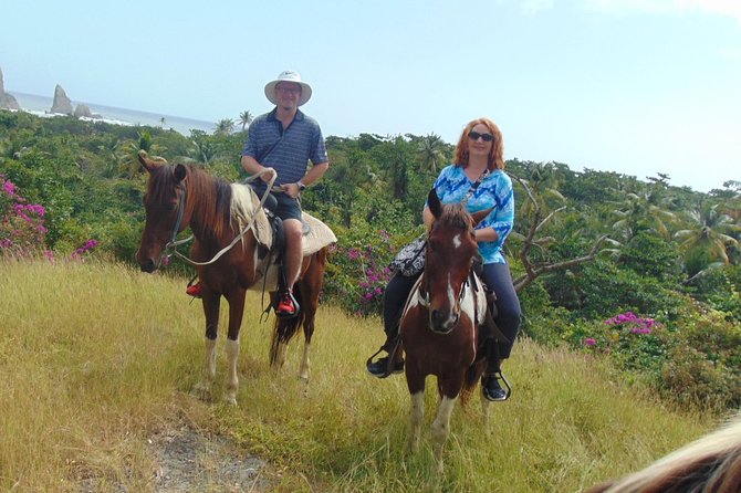 East Coast Horseback Riding & Waterfall Excursion - Should you book the ride and waterfall visit?