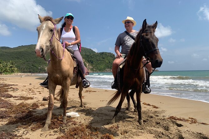 East Coast Horseback Riding, Waterfall & Soufriere Private Tour - Sault Falls: a waterfall stop with seasonal limits