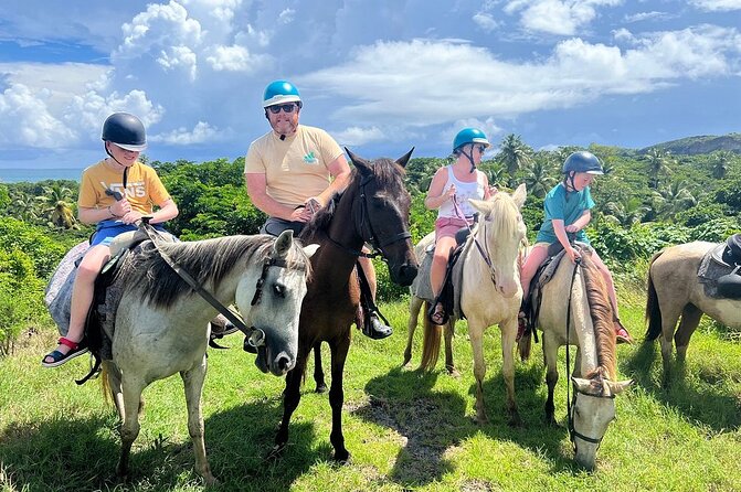 East Coast Horseback Riding, Waterfall & Soufriere Private Tour - Who will get the most from this experience