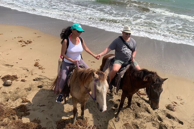 East Coast Horseback Riding, Waterfall & Soufriere Private Tour - What to know before you reserve