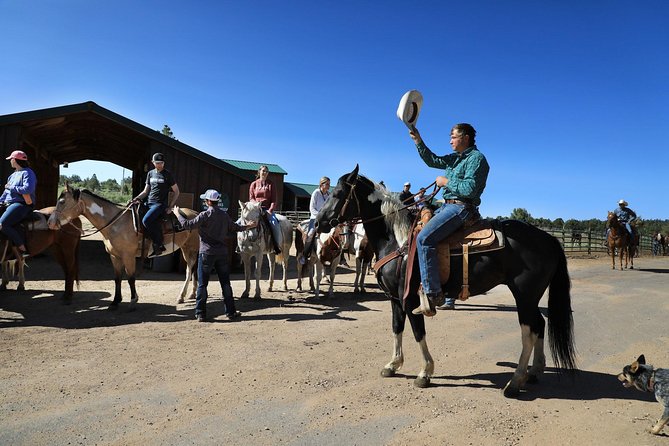 East Zion Pine Knoll Horseback Ride - Desert, Forest, and the Pine Knoll High Point