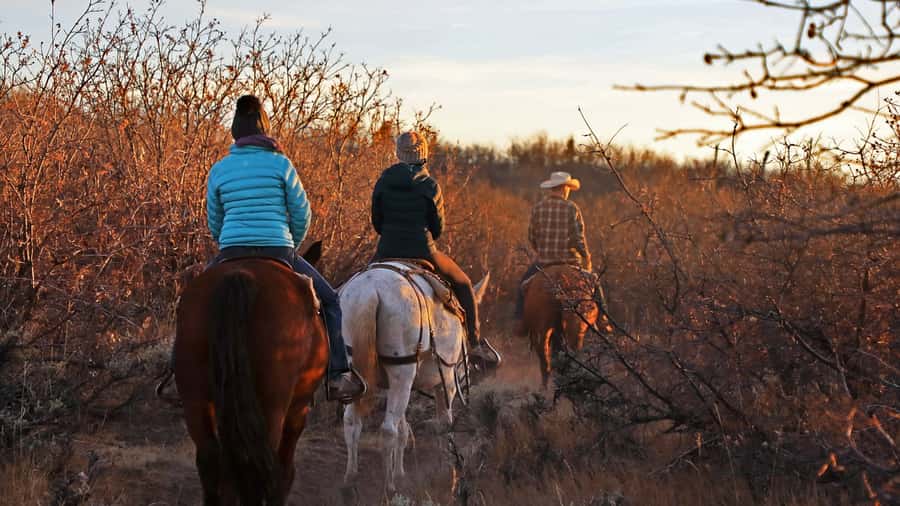 East Zion: Pine Knoll Horseback Tour - Key points at a glance