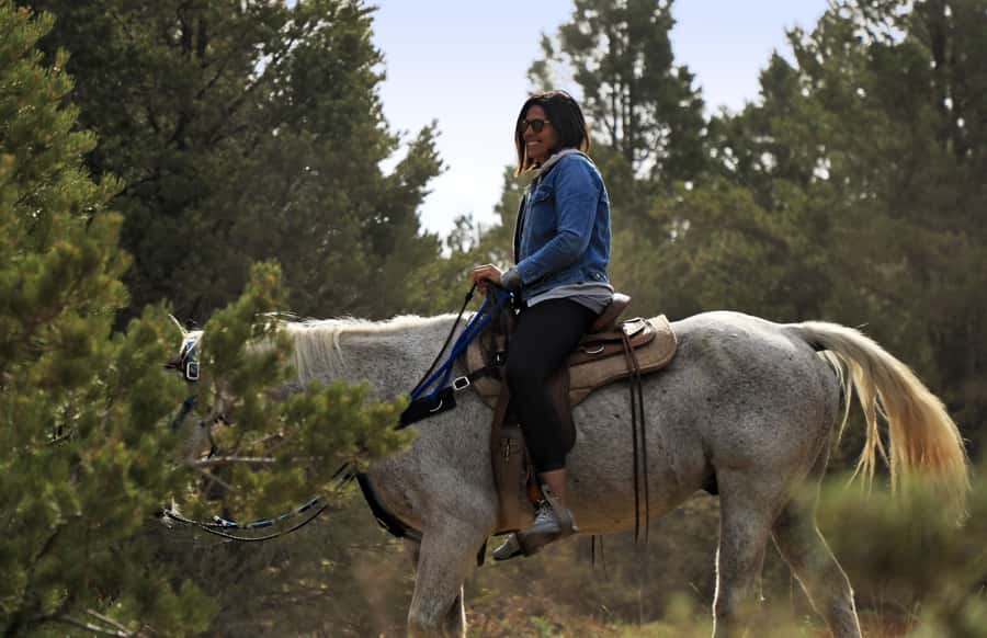 East Zion: Pine Knoll Horseback Tour - Climbing through Pine Knoll’s desert forest