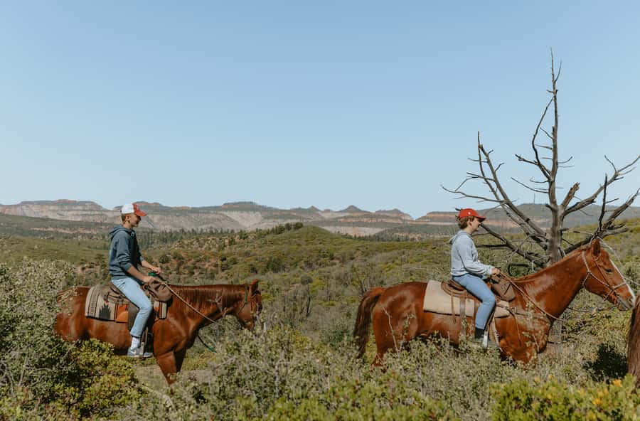 East Zion: Pine Knoll Horseback Tour - Meeting the horses and learning the basics