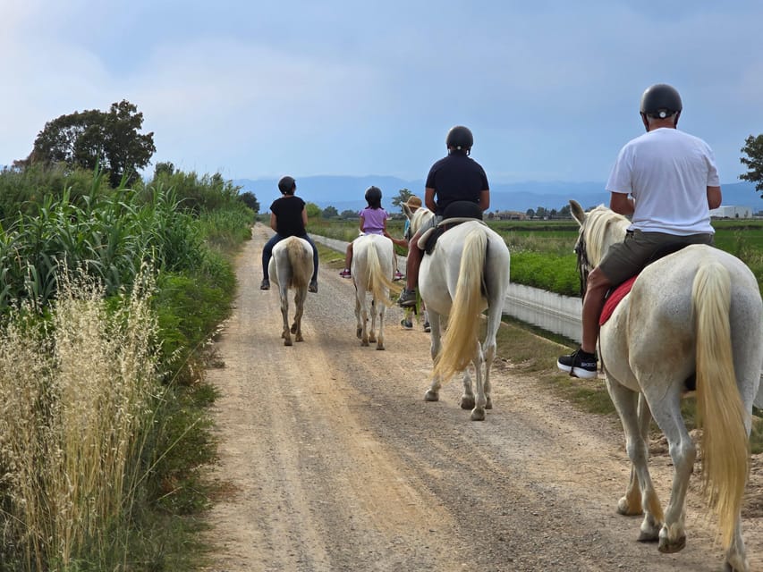 Ebro Delta National Park: Guided Horseback Riding Tour - What to do before and after the ride