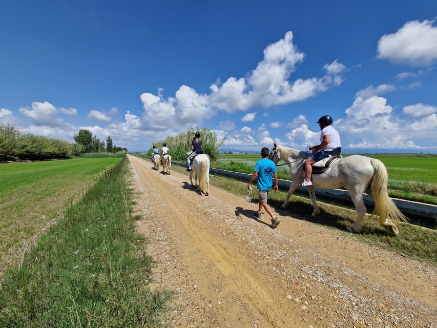 Ebro Delta National Park: Guided Horseback Riding Tour - Who should book this horseback ride?