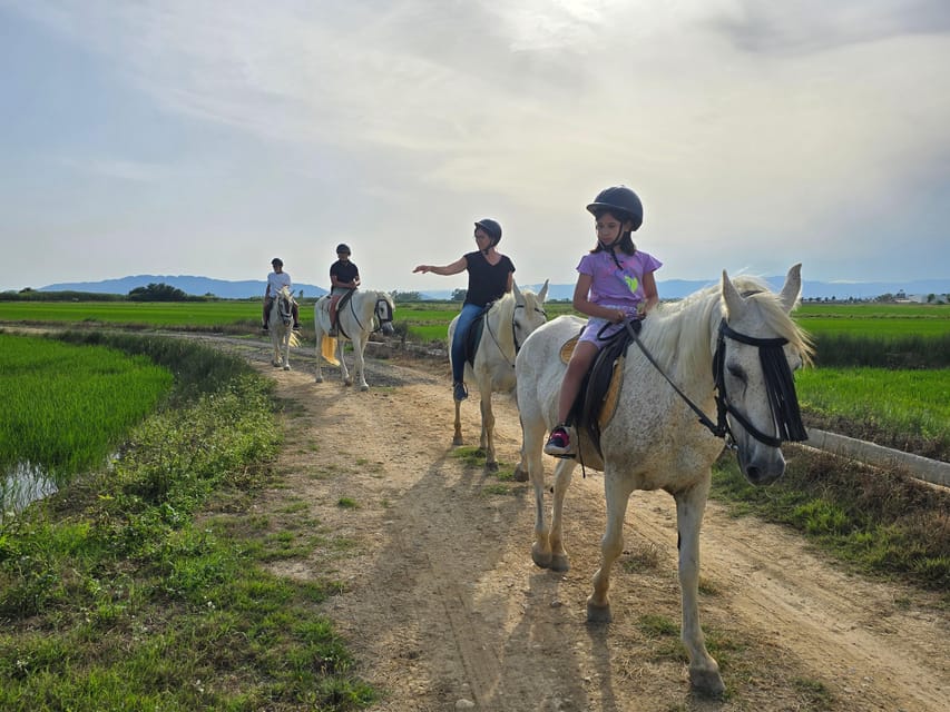 Ebro Delta National Park: Guided Horseback Riding Tour - Starting at the Riumar activity base