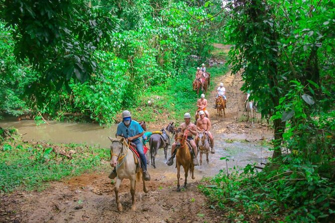 Eco Aventure Park+ Zipline+Horseback Ride+Buggy - Ending at Macao Beach