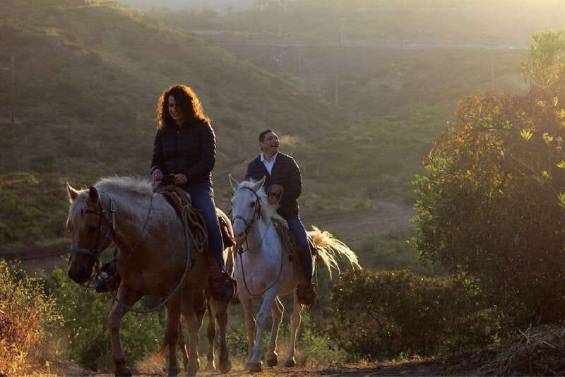 Eco Canyon Horseback Riding Excursion - Key points to know before riding