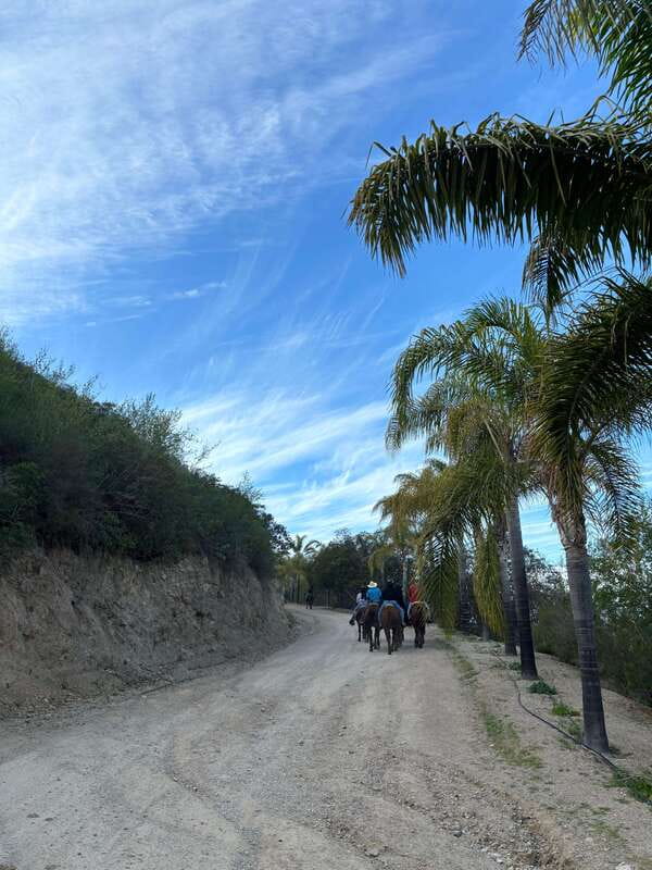 Eco Canyon Horseback Riding Excursion - Echo Lookout and the terrace stop