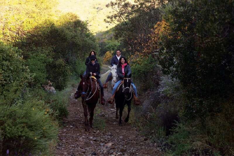 Eco Canyon Horseback Riding Excursion - Is $40 a fair price?