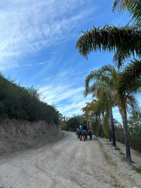 Eco Canyon Horseback Riding Excursion - Who will enjoy this ride most?