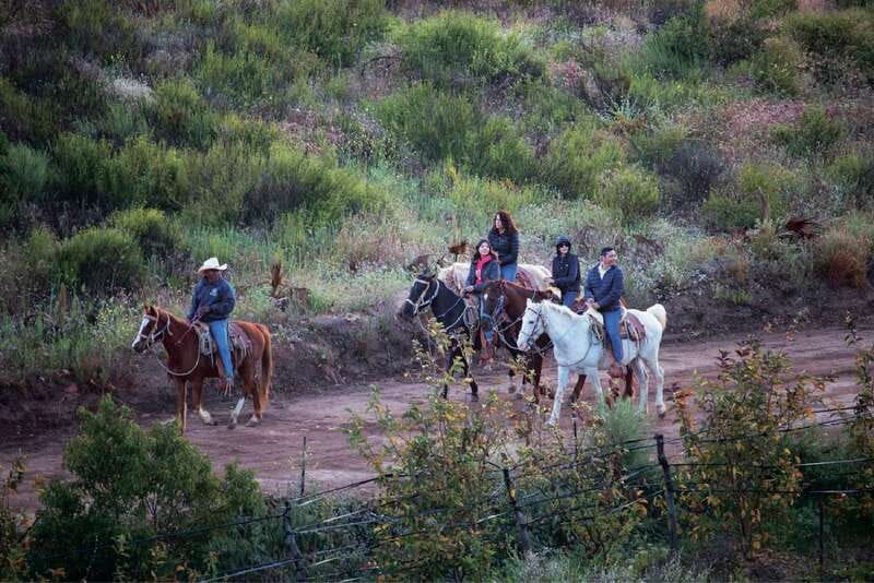 Eco Canyon Horseback Riding Excursion - FAQ