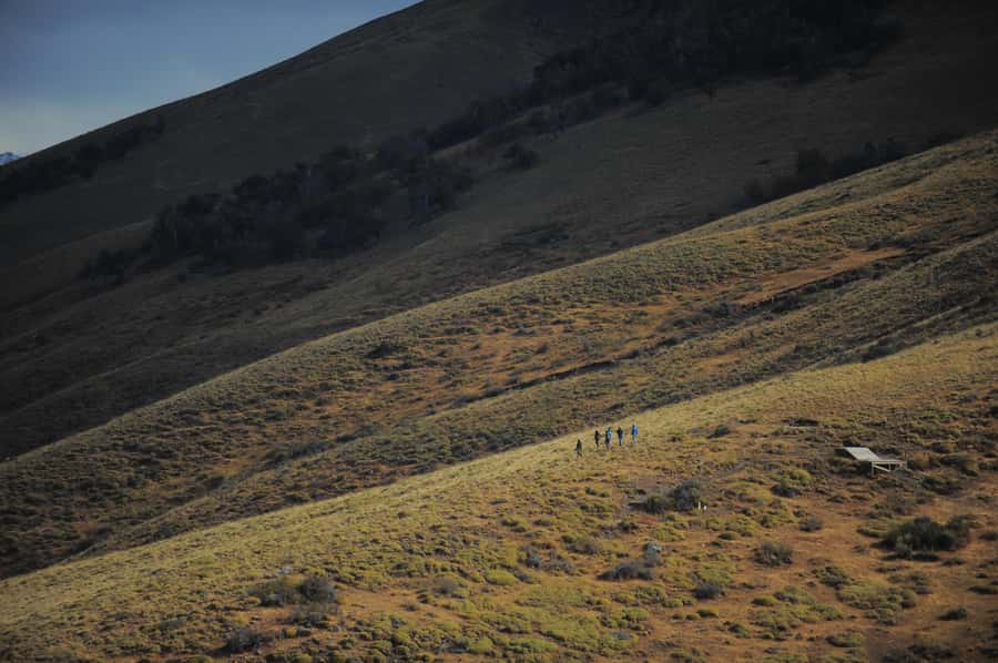 El Calafate: Horseback riding in Cerro Frias - Key points to know before you book