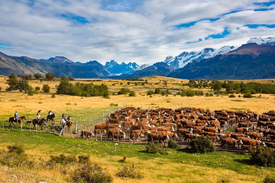 El Calafate: Nibepo Aike Ranch with Horseback Riding - The road to Nibepo Aike begins with Patagonia’s open country