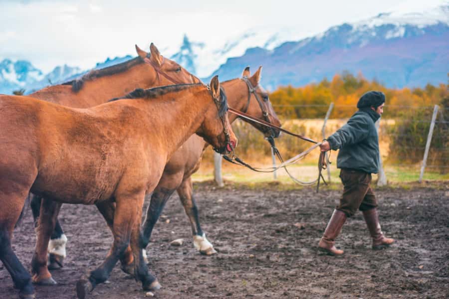 El Calafate: Nibepo Aike Ranch with Horseback Riding - A hot drink and Andes views at the ranch