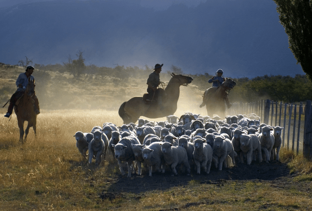 El Calafate: Nibepo Aike Ranch with Horseback Riding - Is $175 a fair price for seven hours?
