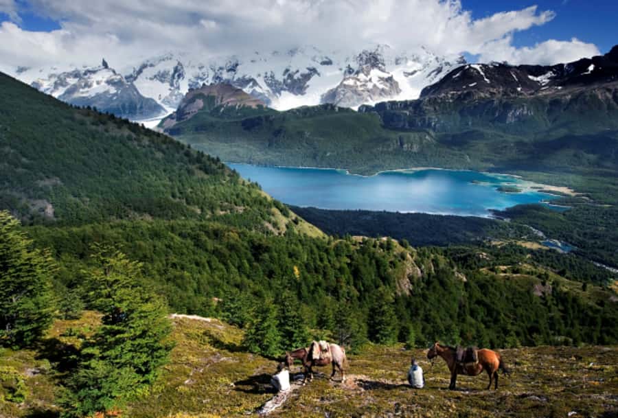 El Calafate: Nibepo Aike Ranch with Horseback Riding - Timing, season, and what to bring