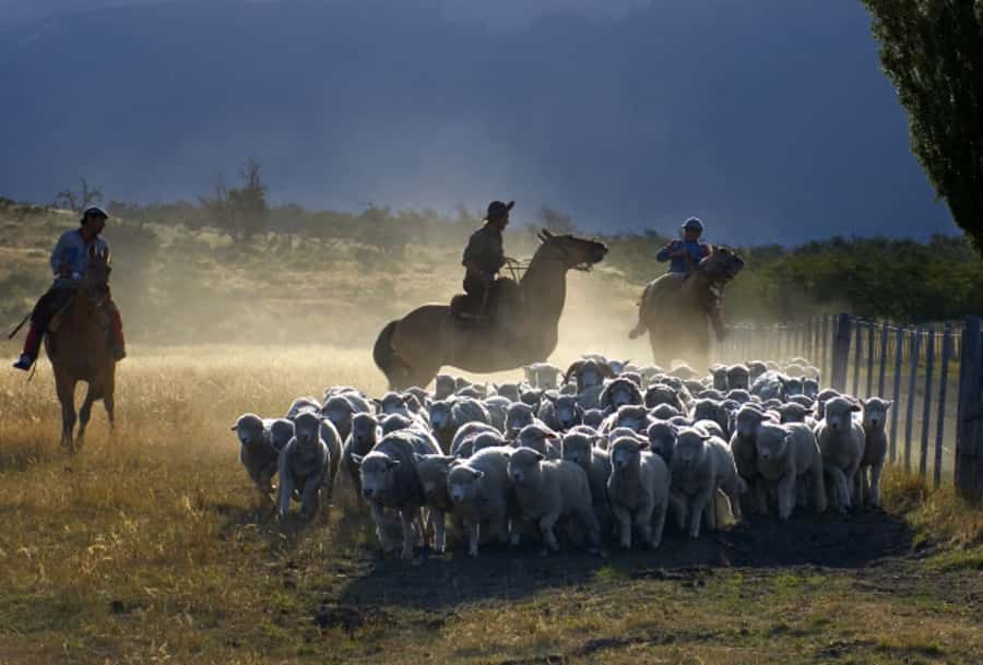 El Calafate: Nibepo Aike Ranch with Horseback Riding - My call: book it for the full ranch experience
