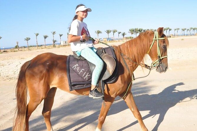 El Gouna Horse Ride Tour - Why this ride is different from a standard desert excursion