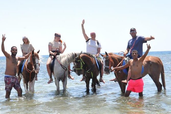 El Gouna Horse Ride Tour - Meeting your horse and getting ready