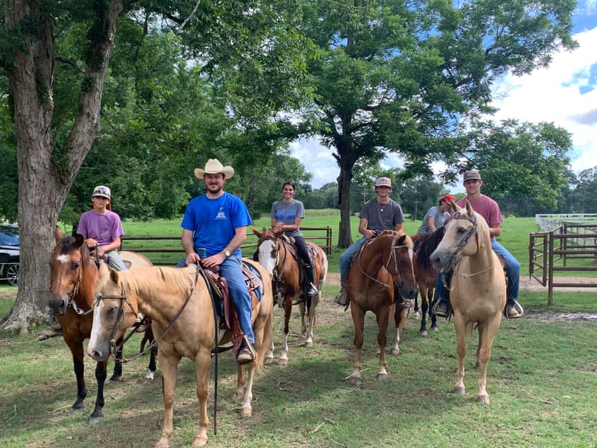 El Limón: Waterfall Horseriding Tour with Lunch - Lunch with local people after the ride