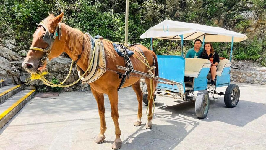 El mejor Tour a "Cola de Caballo" + Guía + Traslado +Tickets - Who will get the most from this tour