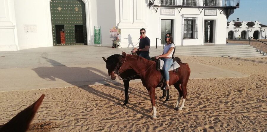 El Rocío: Doñana National Park Horseback Riding Tour - Coastal dunes and views toward the sea