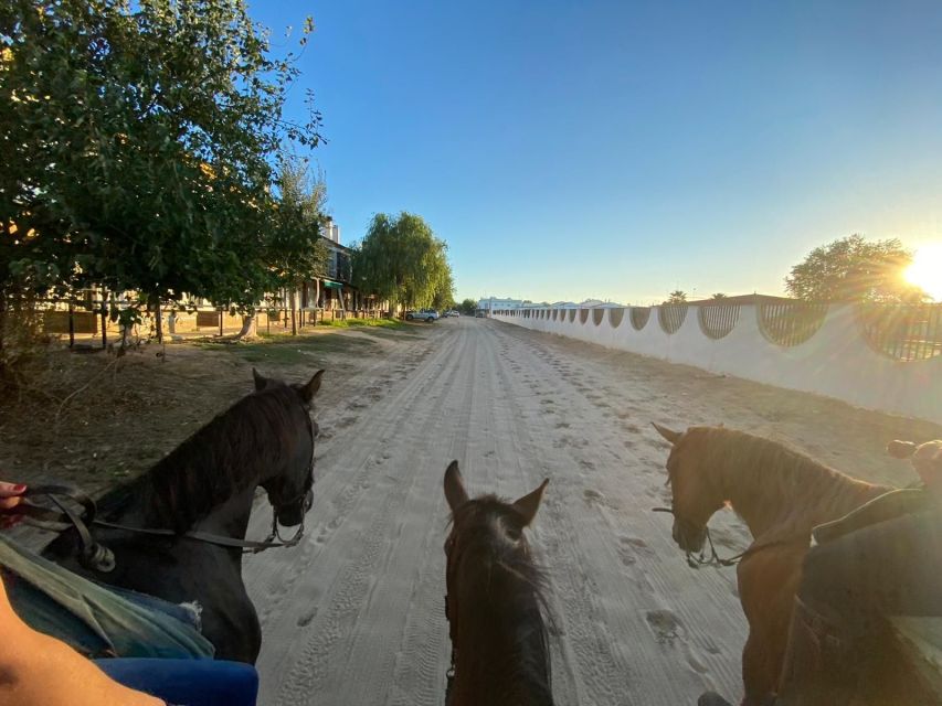 El Rocío: Doñana National Park Horseback Riding Tour - El Rocío’s sandy streets and famous hermitage