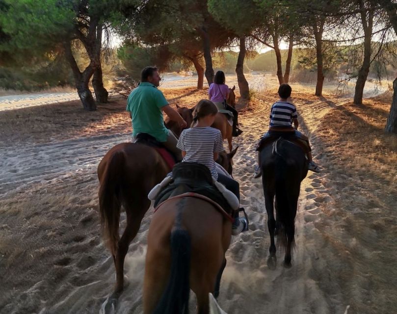 El Rocío: Doñana National Park Horseback Riding Tour - The natural side of Doñana