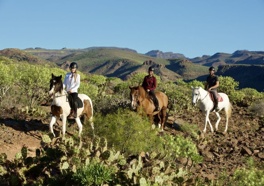 El Salobre: Horse Riding Adventure with Transfer Options - Key points before you book