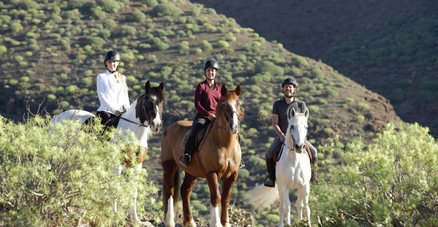 El Salobre: Horse Riding Adventure with Transfer Options - Riding through El Salobre’s volcanic hills
