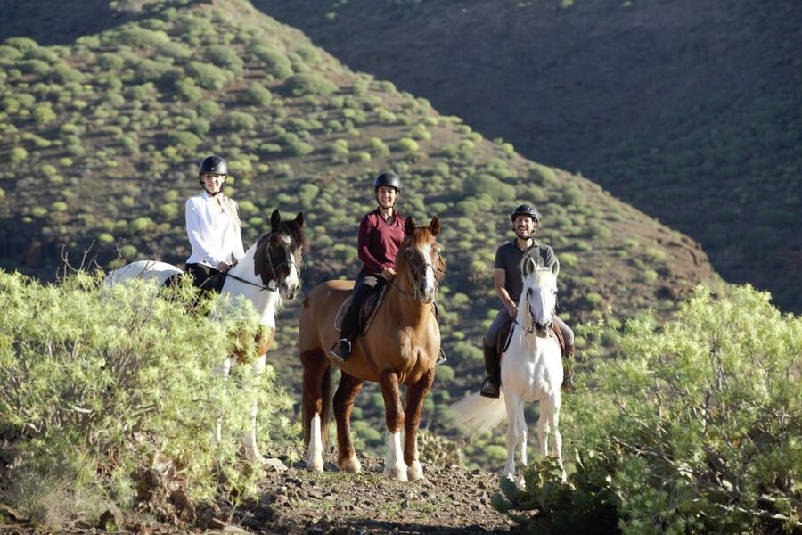 El Salobre: Horse Riding Adventure with Transfer Options - What the one-hour ride is really like