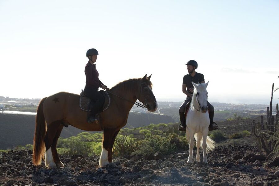 El Salobre: Horse Riding Adventure with Transfer Options - Guides, language, and group size
