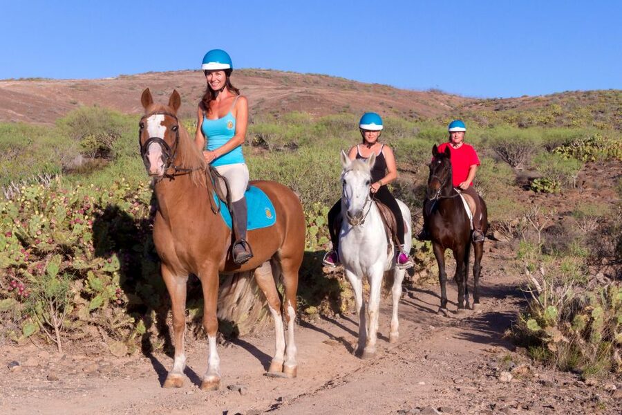 El Salobre: Horse Riding Adventure with Transfer Options - Meeting the horses and choosing your mount