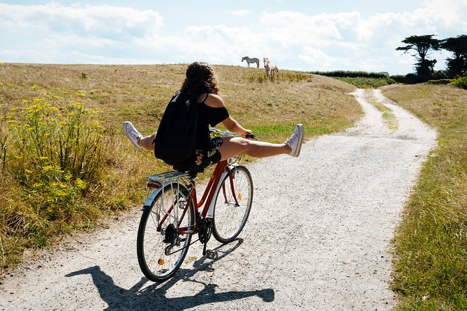Electric bike excursion in Camargue - Marshes, rice fields, and reed beds